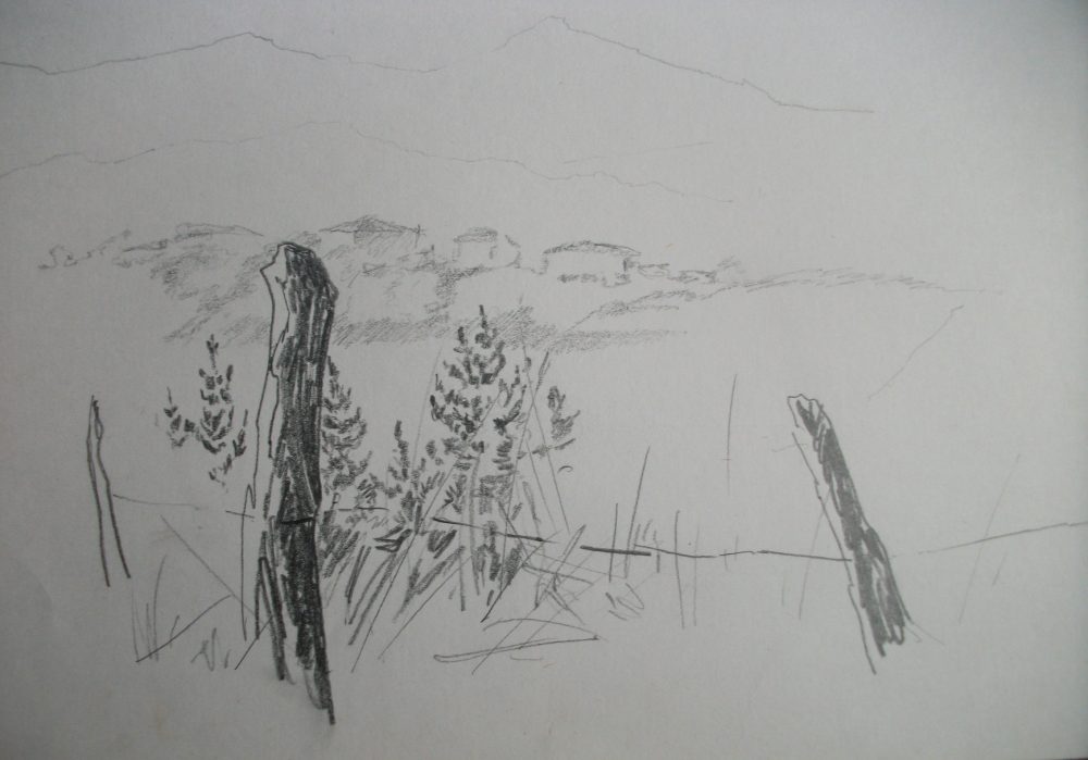 Valle de Mena
