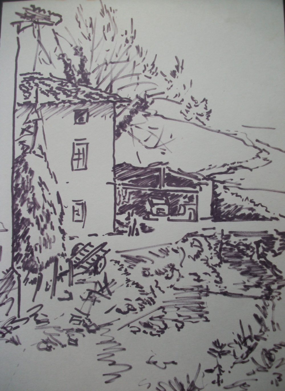 Muxika