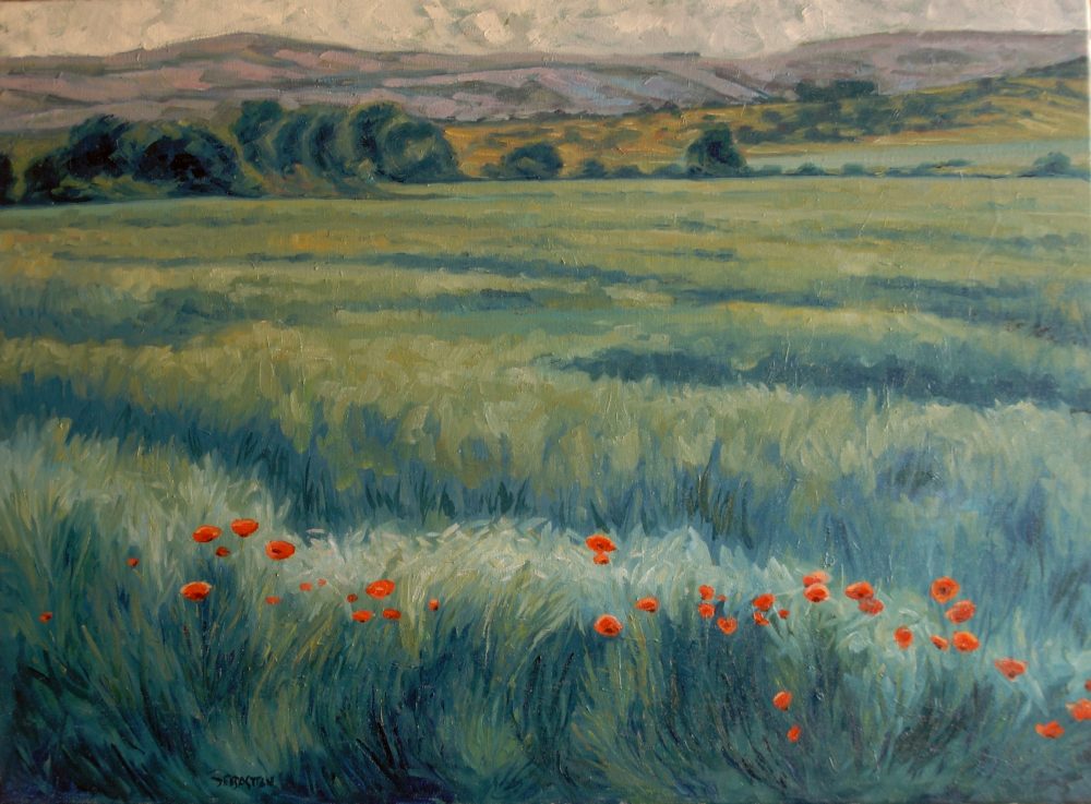 Campo de trigo