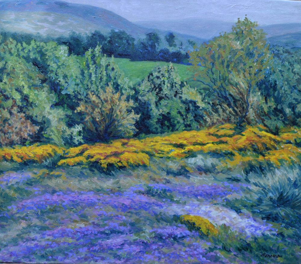Campo de Losa