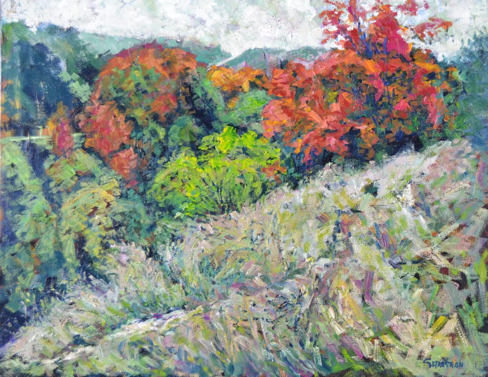 Paisaje Losa