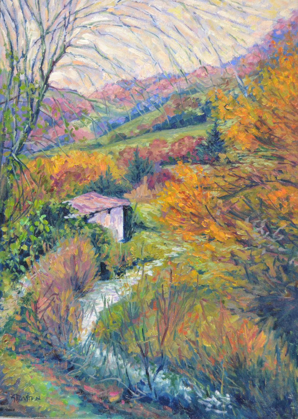 Chabola