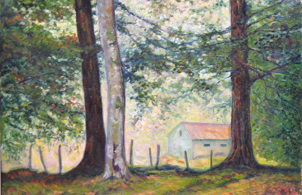 Bosque navarro