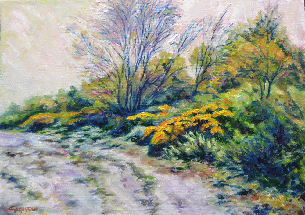 Paisaje