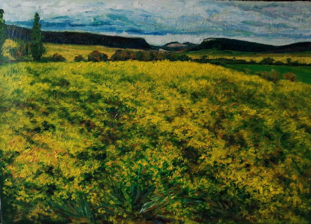 Campo amarillo