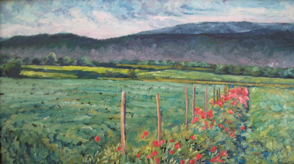 Amapolas