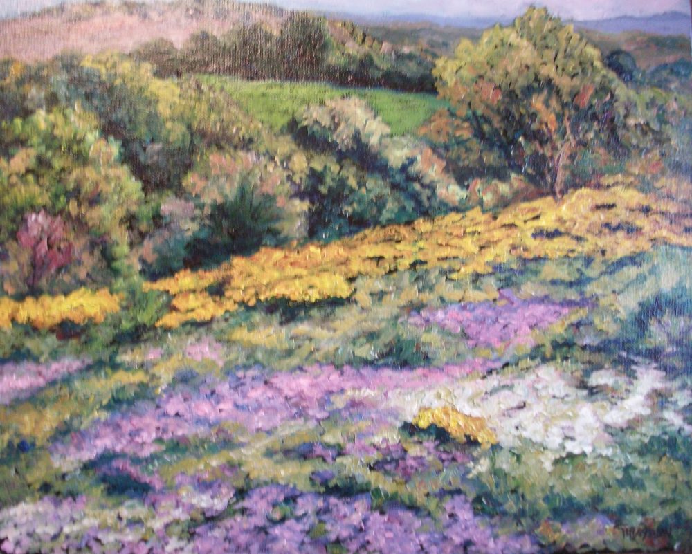 Flores silvestres
