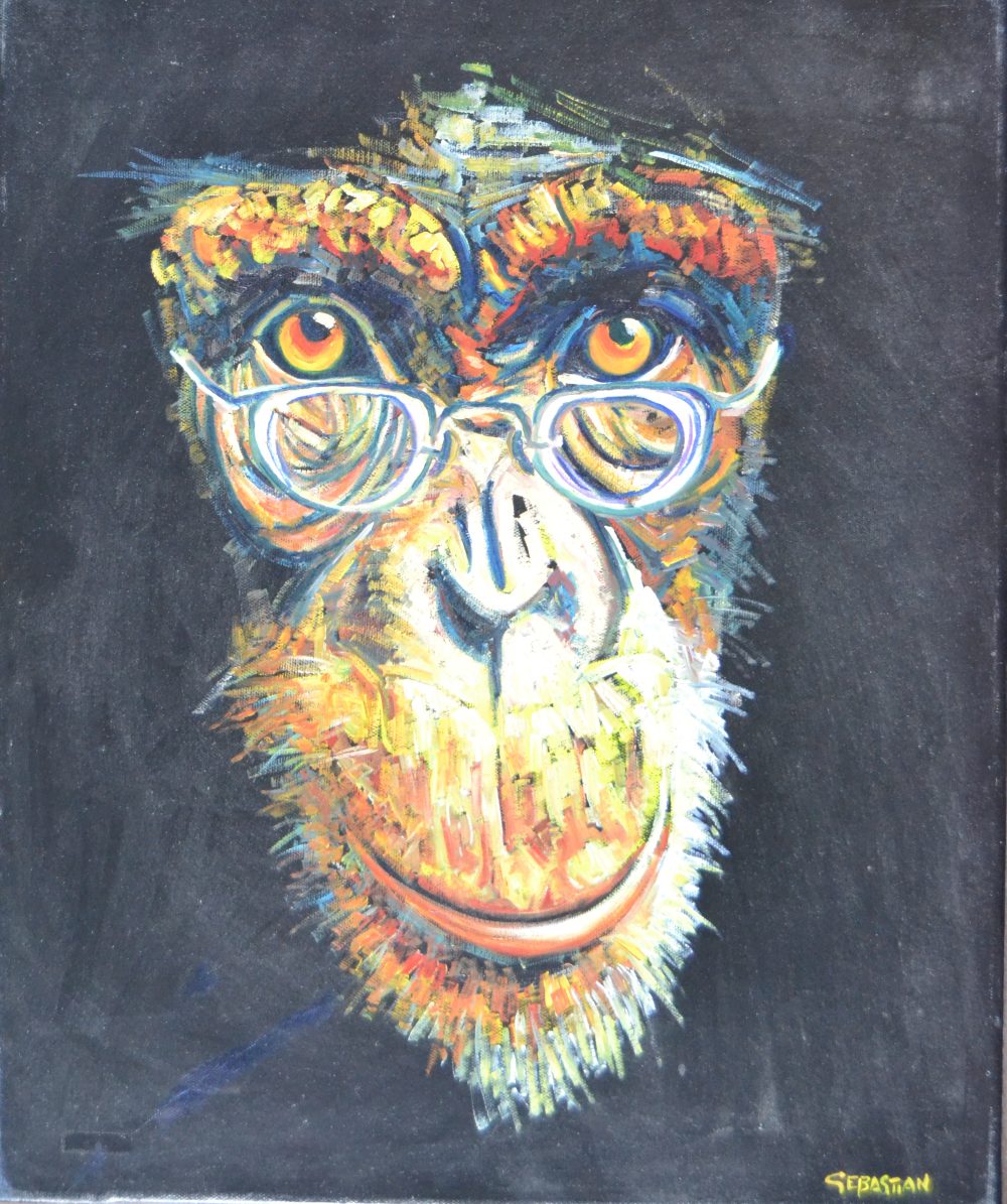 Mono dóctor