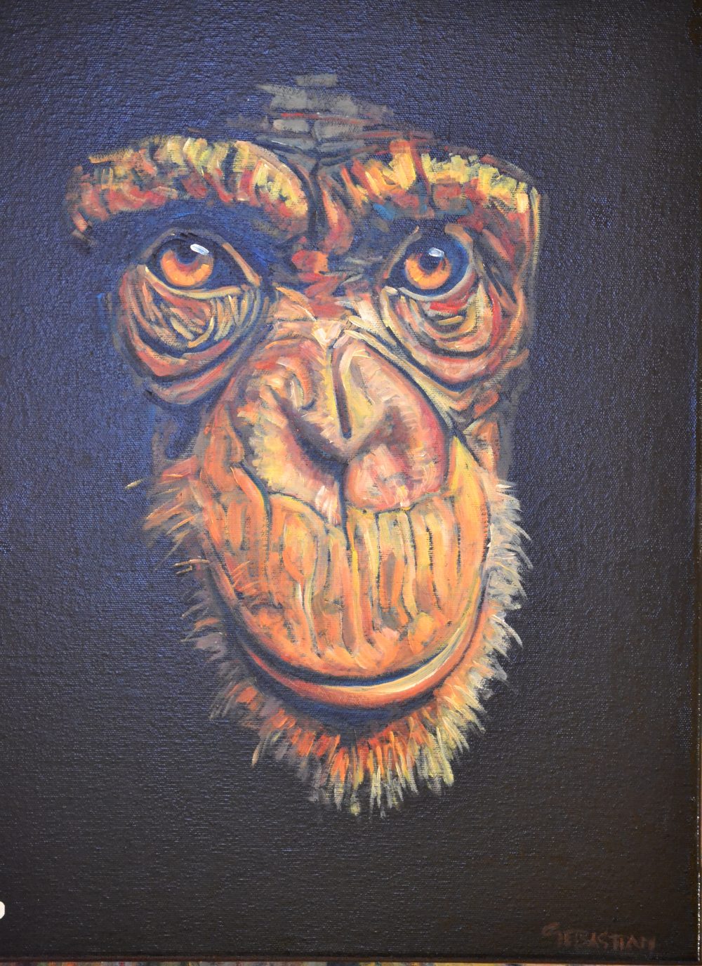Mono sapiens