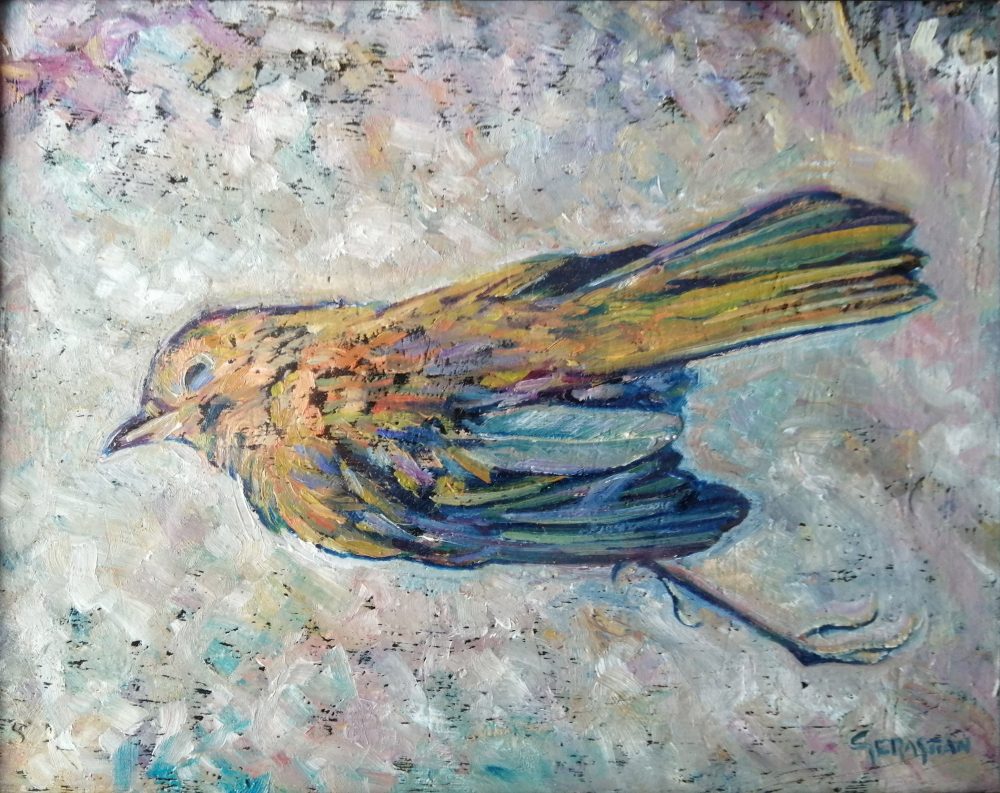 Pájaro muerto
