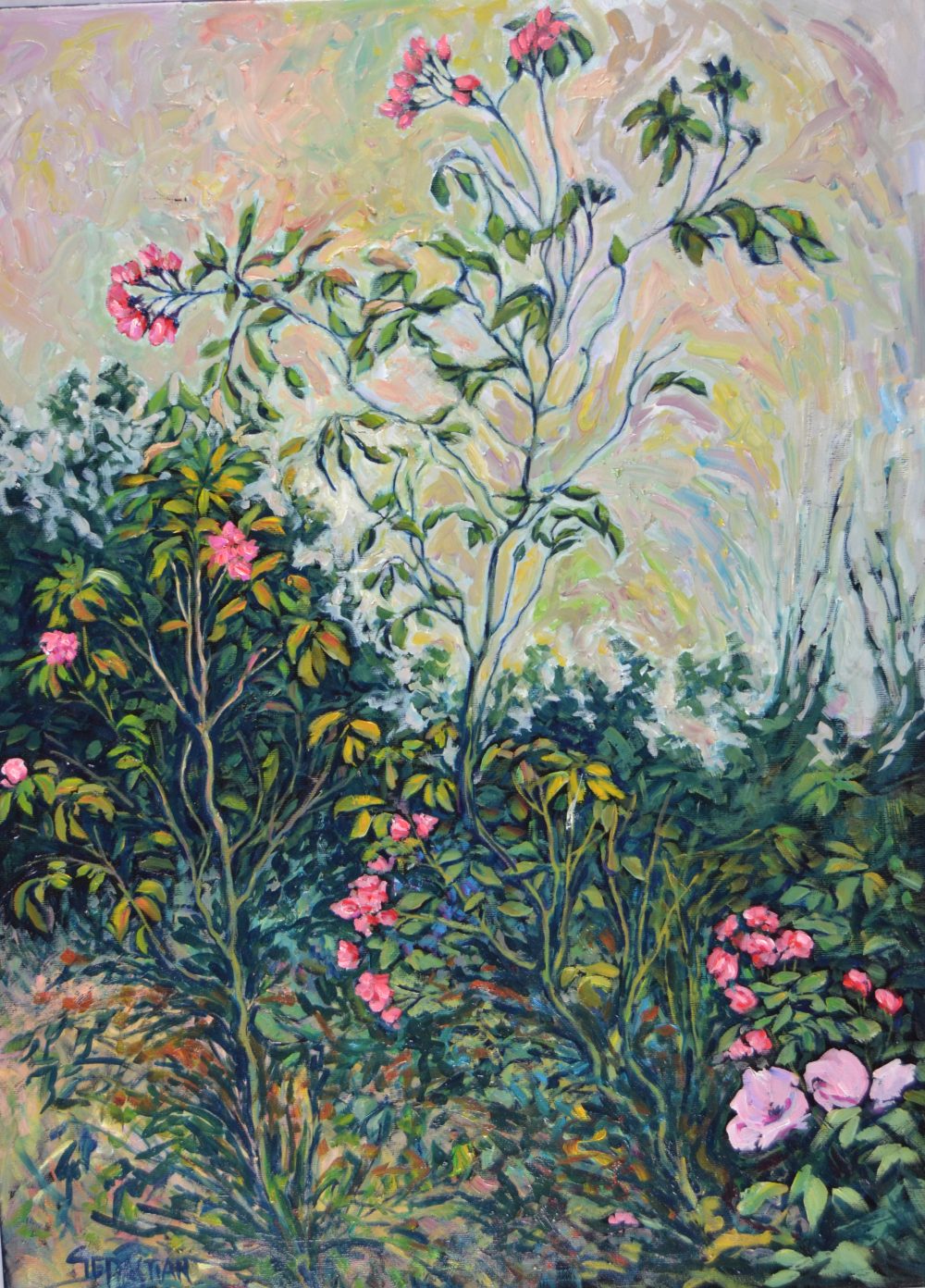 Rosal silvestre