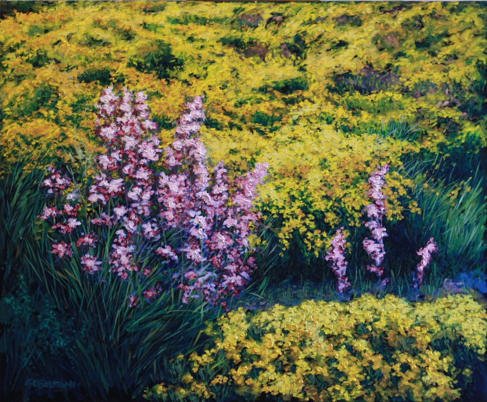 Flores silvestres