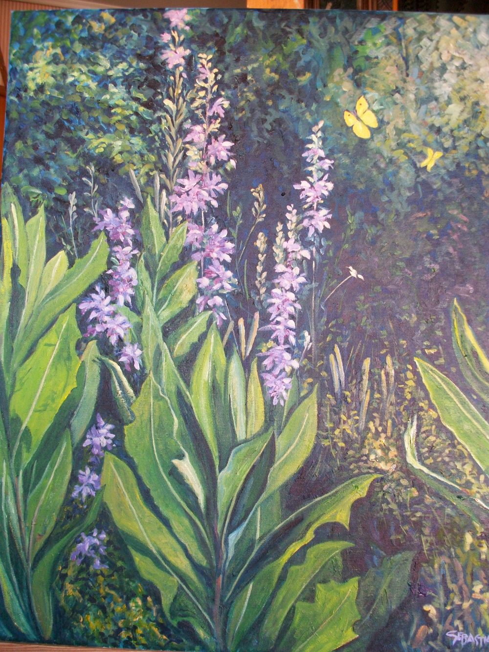 Flores silvestres