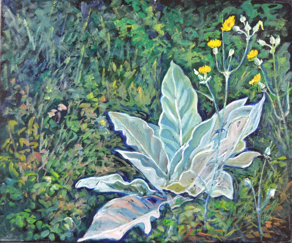 Flores silvestres
