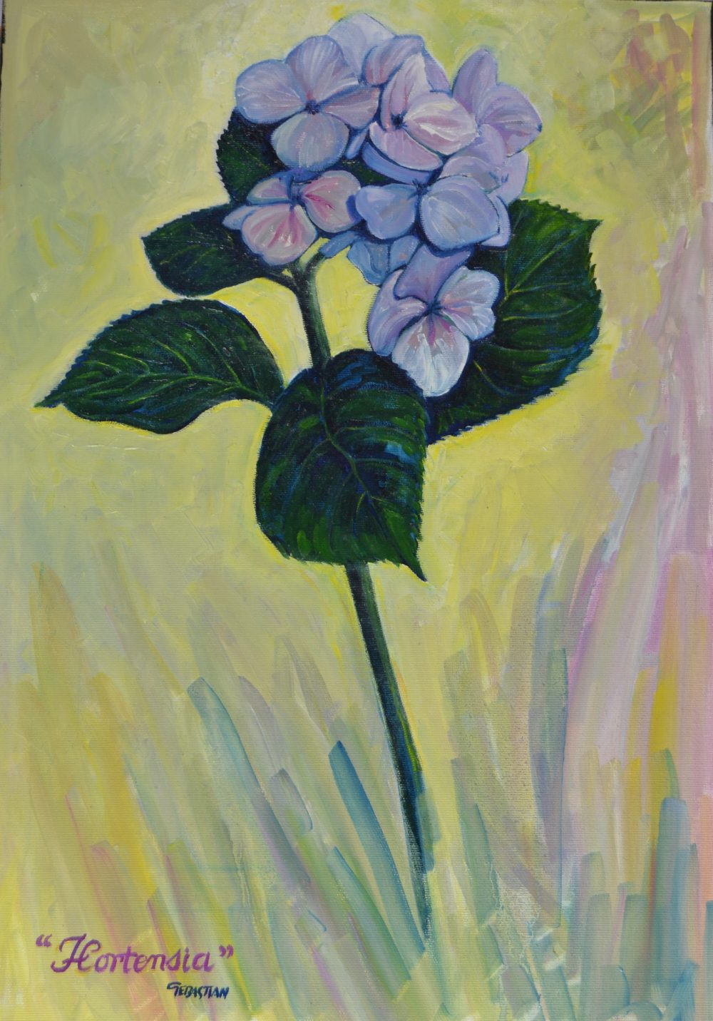 Hortensia