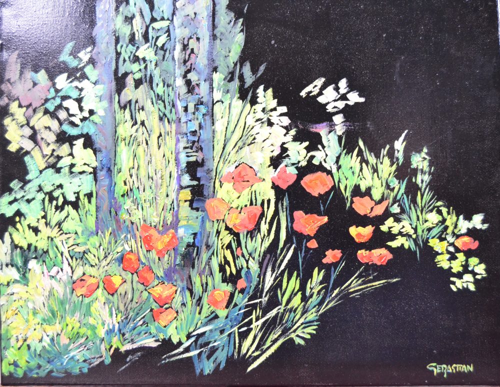 Amapolas