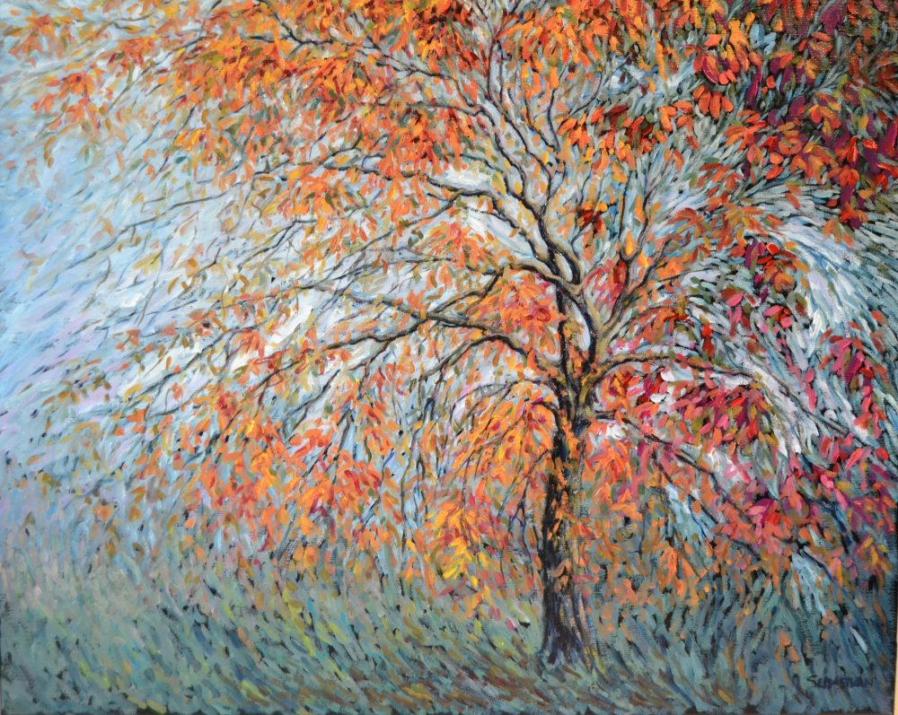 Ciruelo en otoño