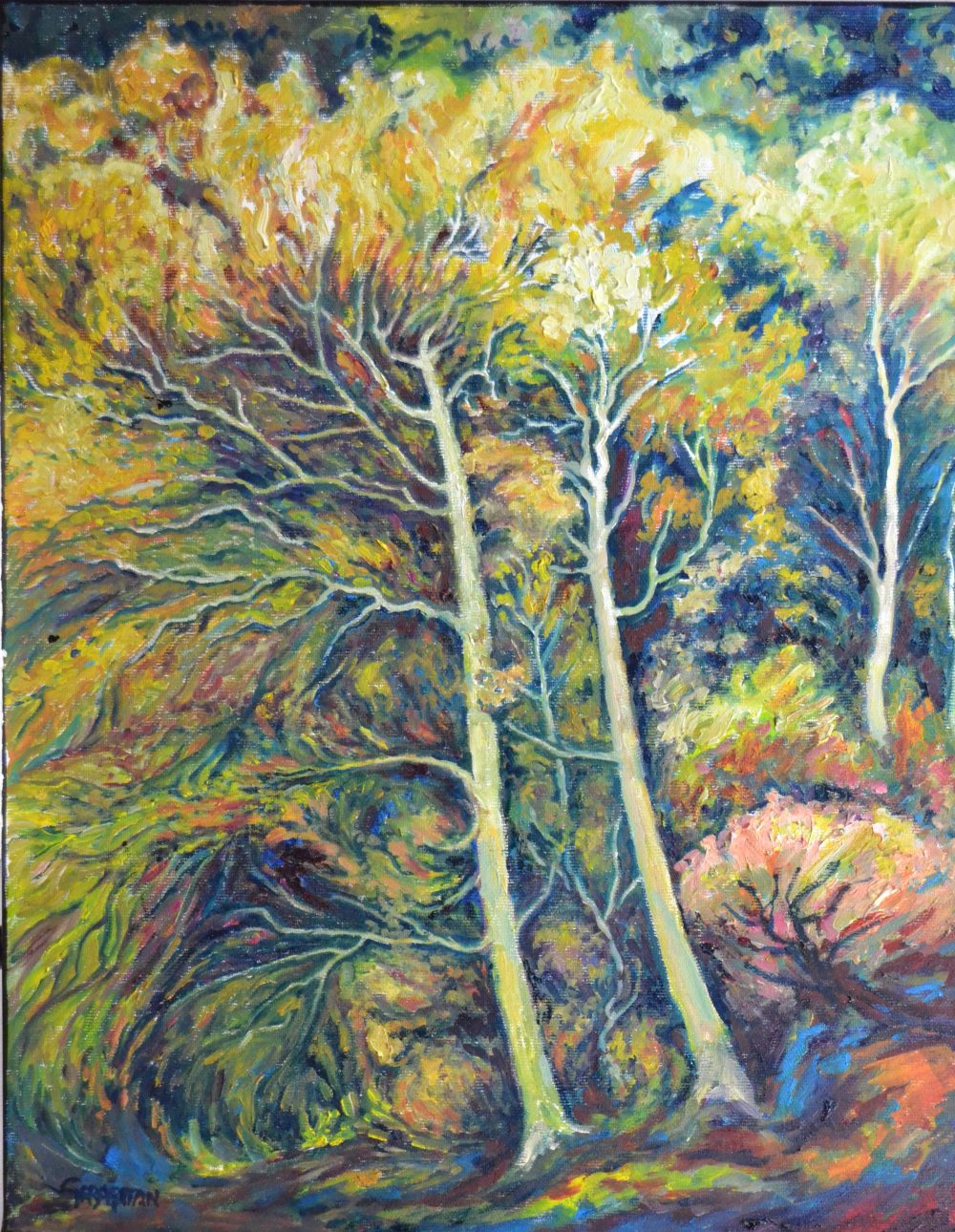 Pinos