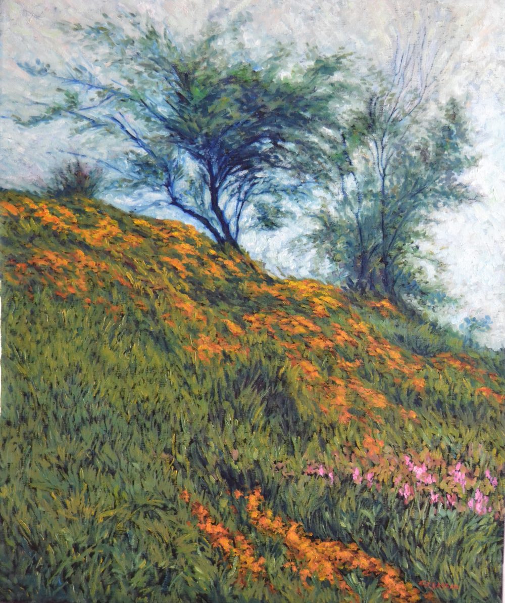 Aulagas 1