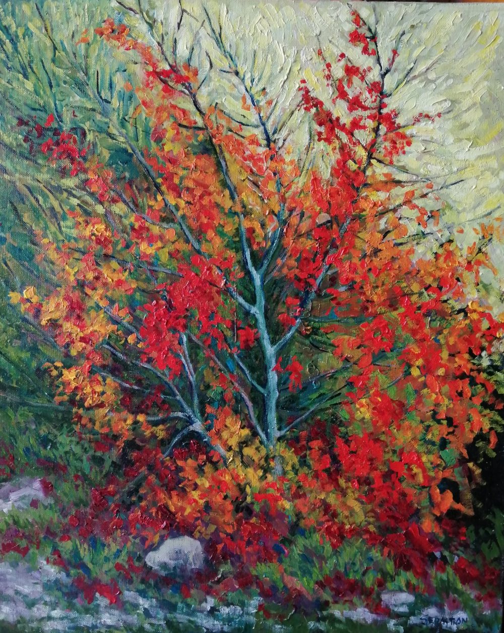 Espino rojo -2