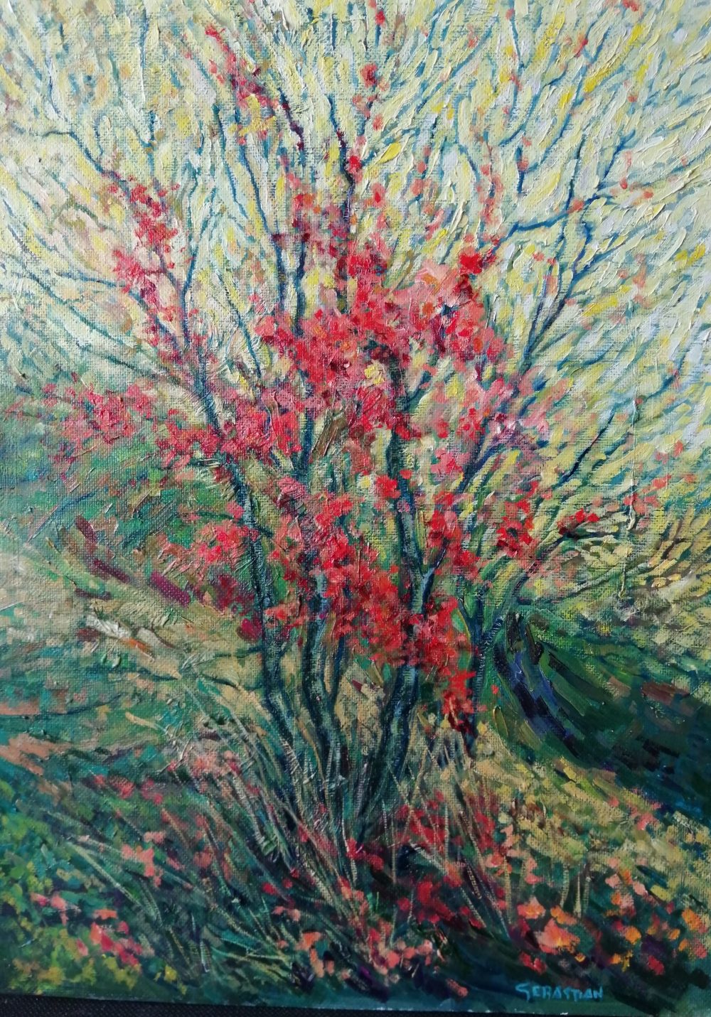 Espino rojo -1