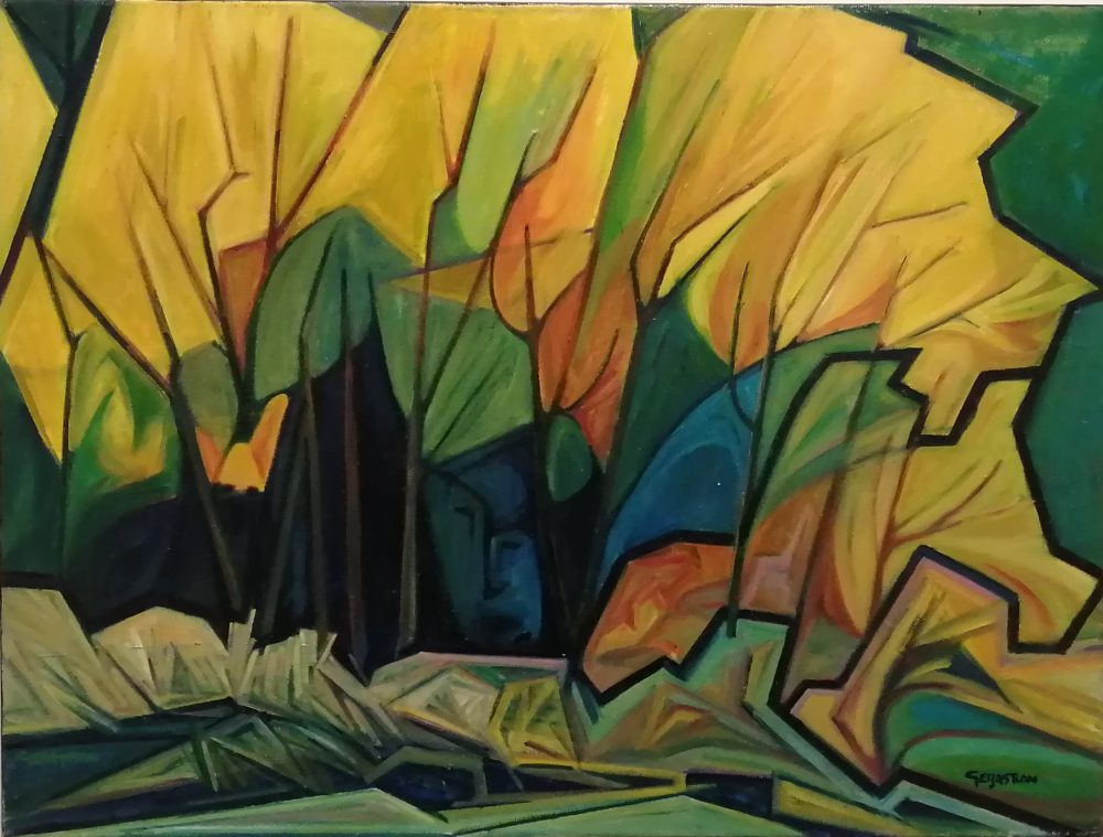 La raya negra