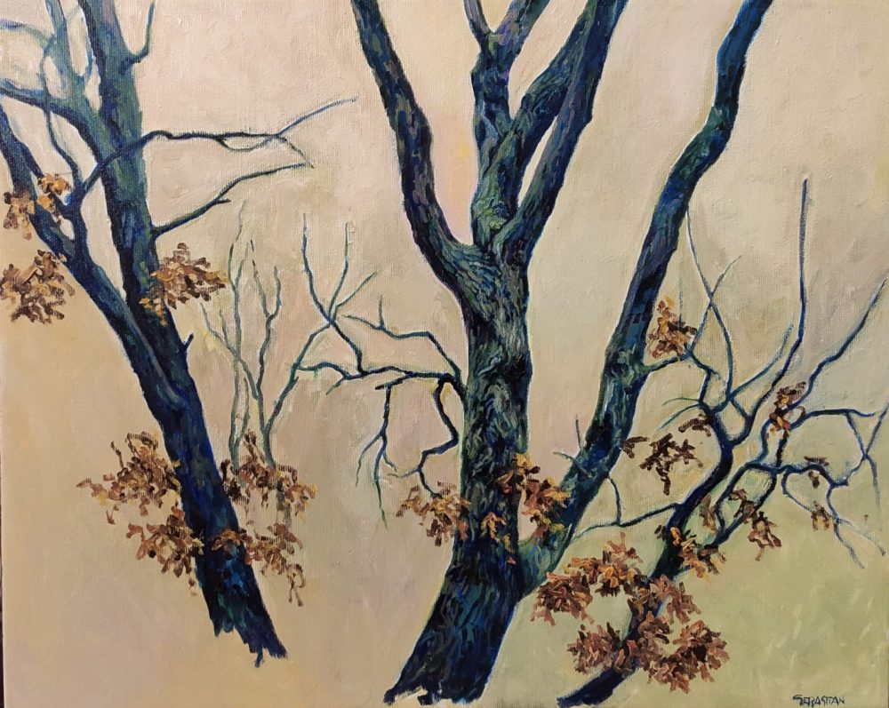 Roble