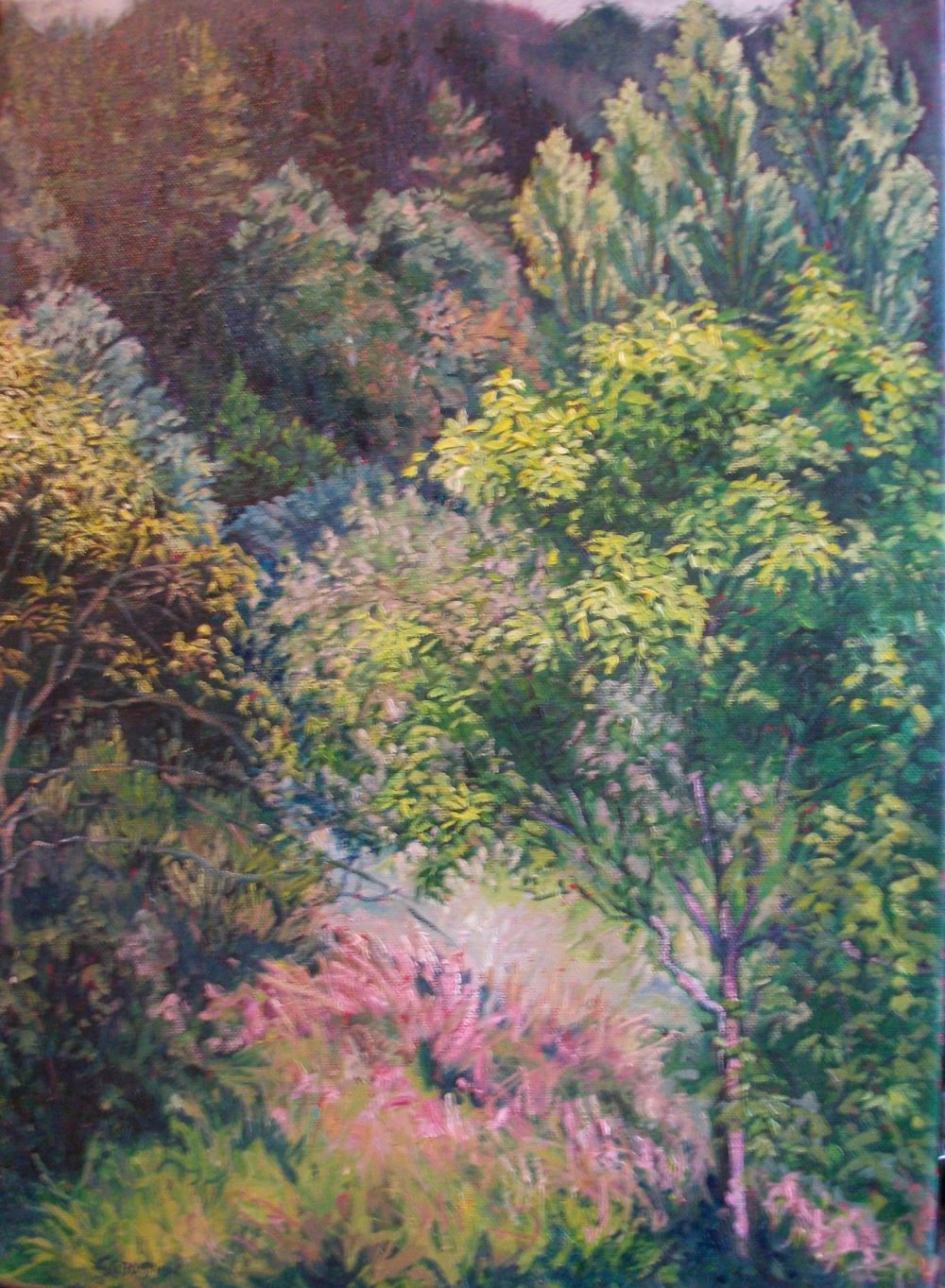 Arboles