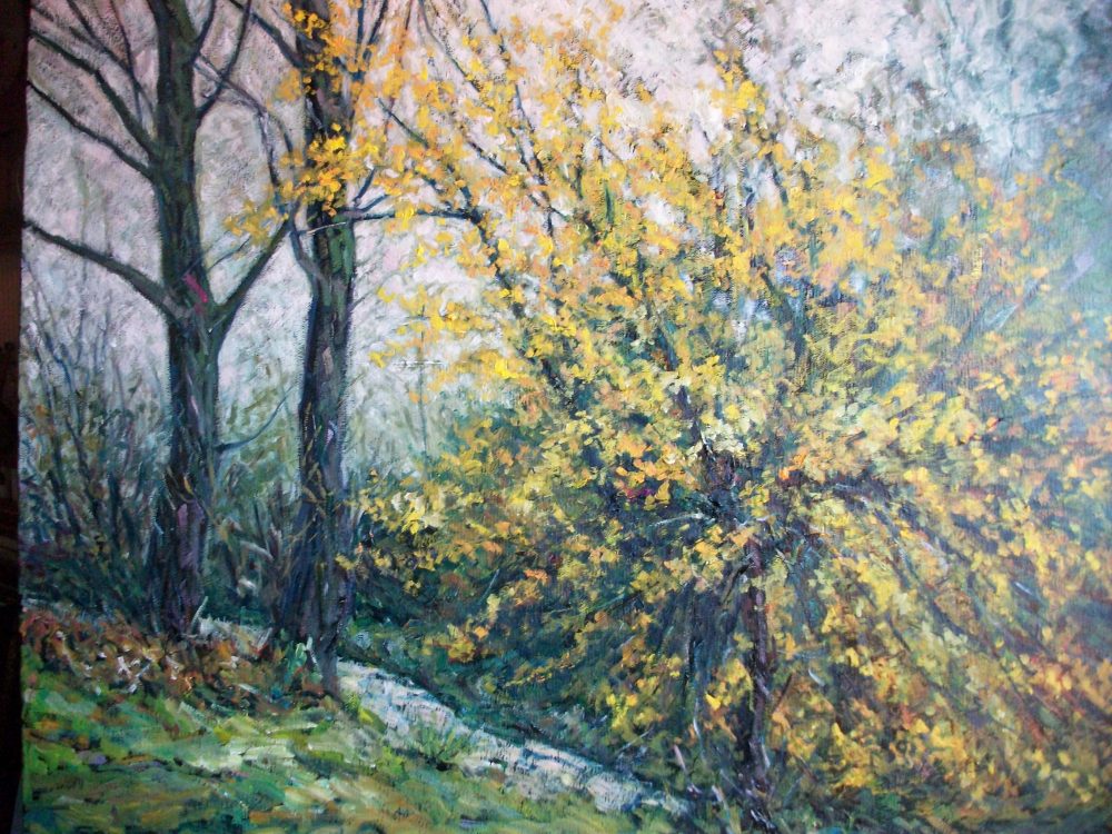 Arbusto amarillo